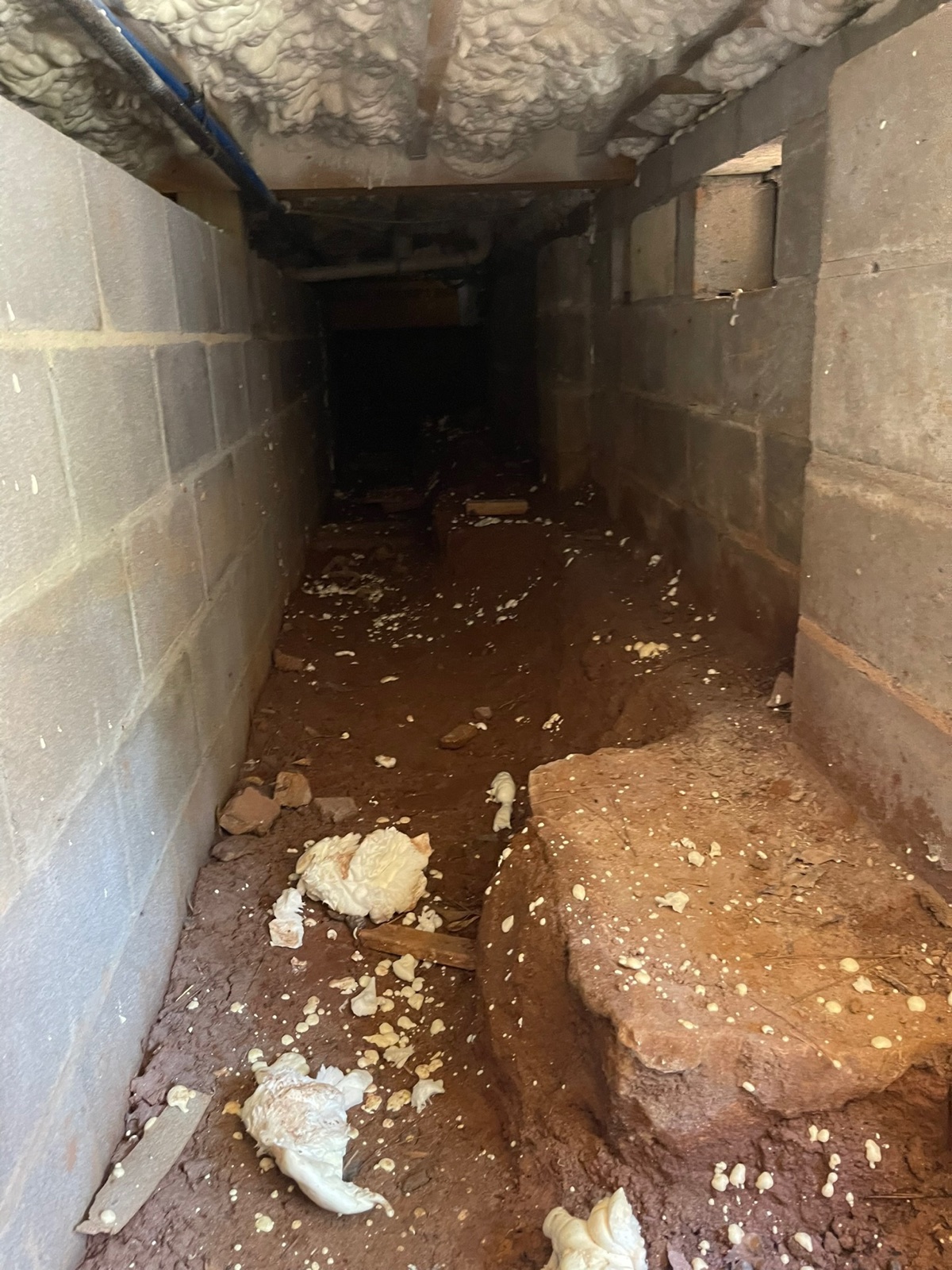 Bare wet crawlspace tunnel with debris before water damage cleanup